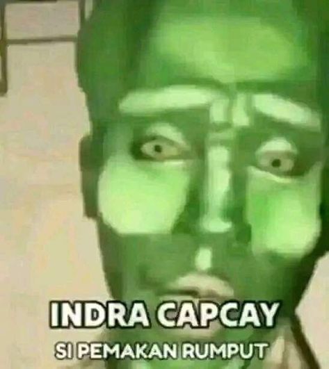 indra capcay.jpg